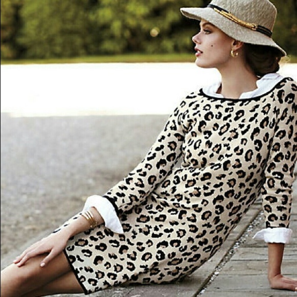 Leopard Anthropologie sweater dress